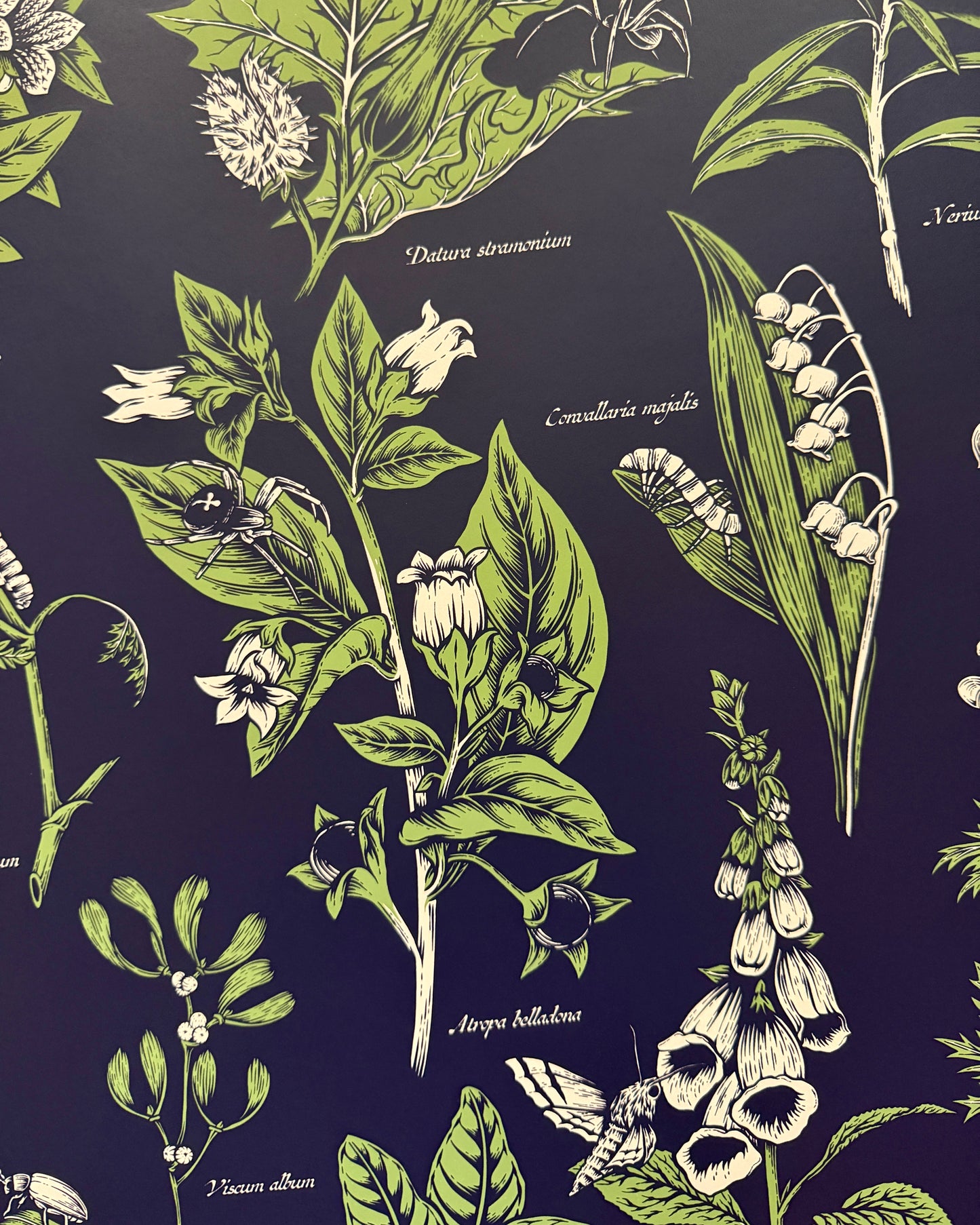 Poison Garden test print