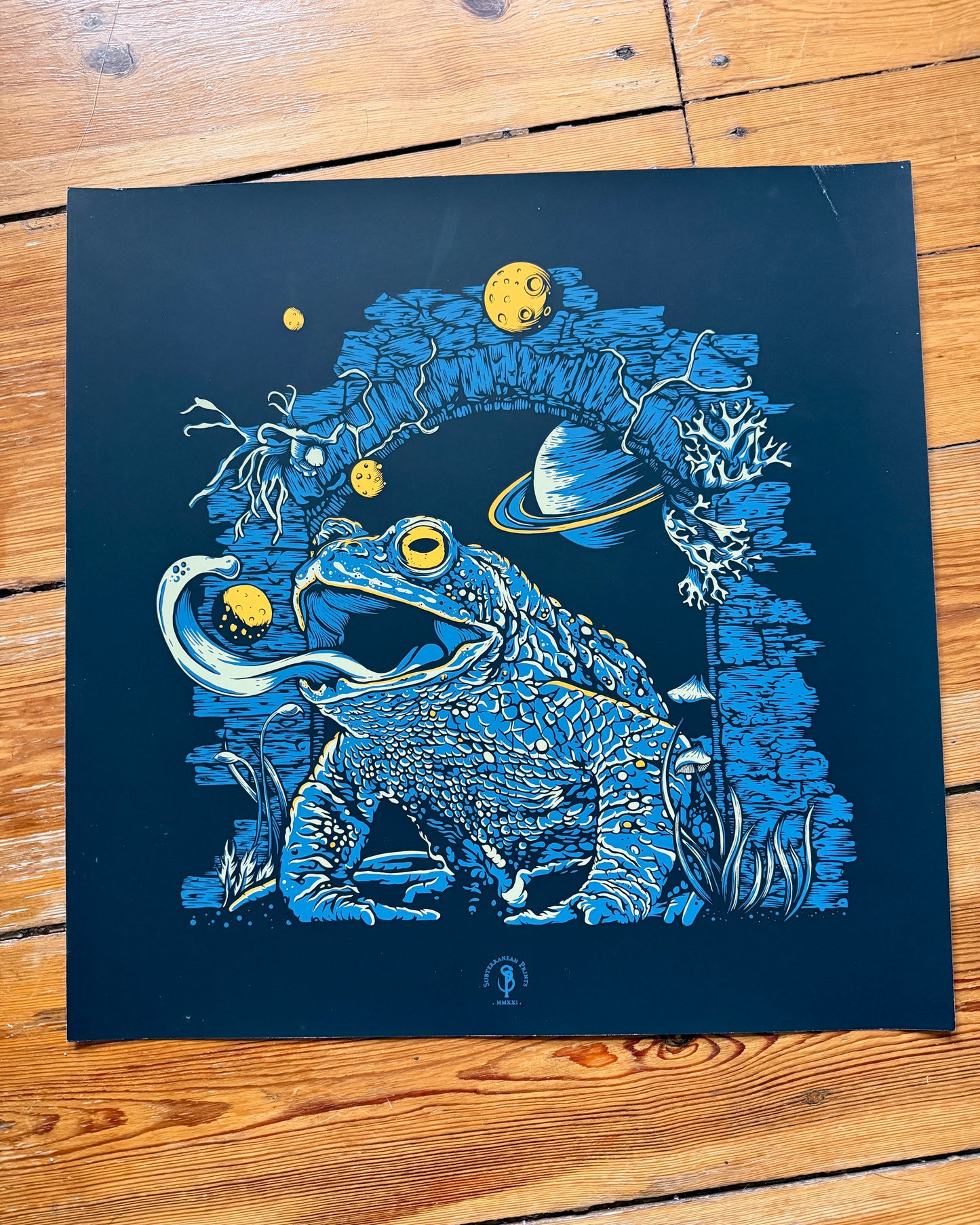 Cosmic Toad