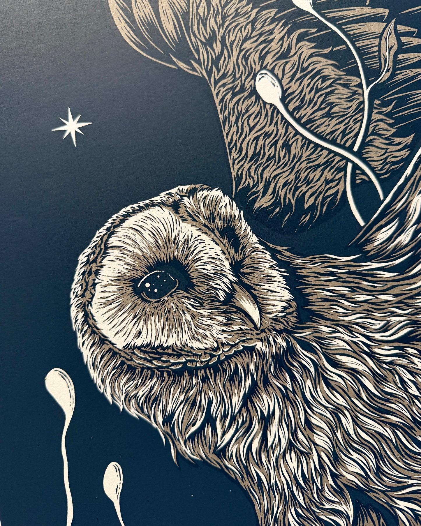 The Visionary test print