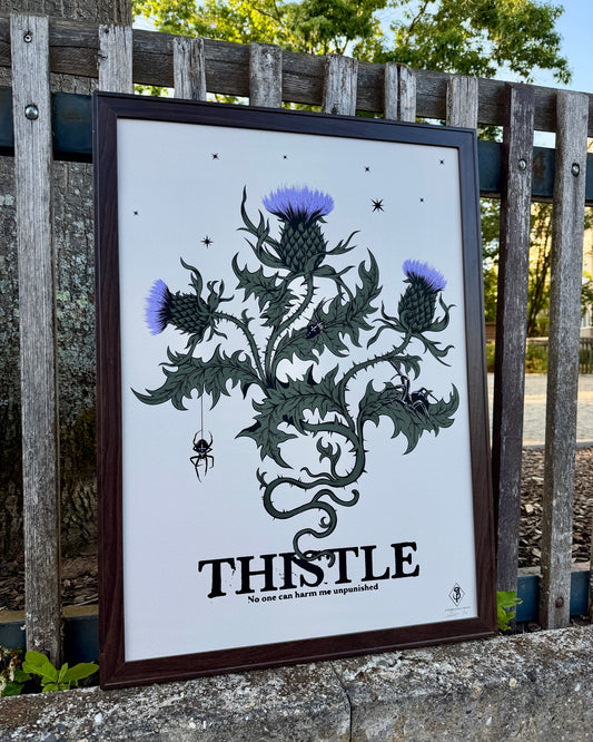 Thistle