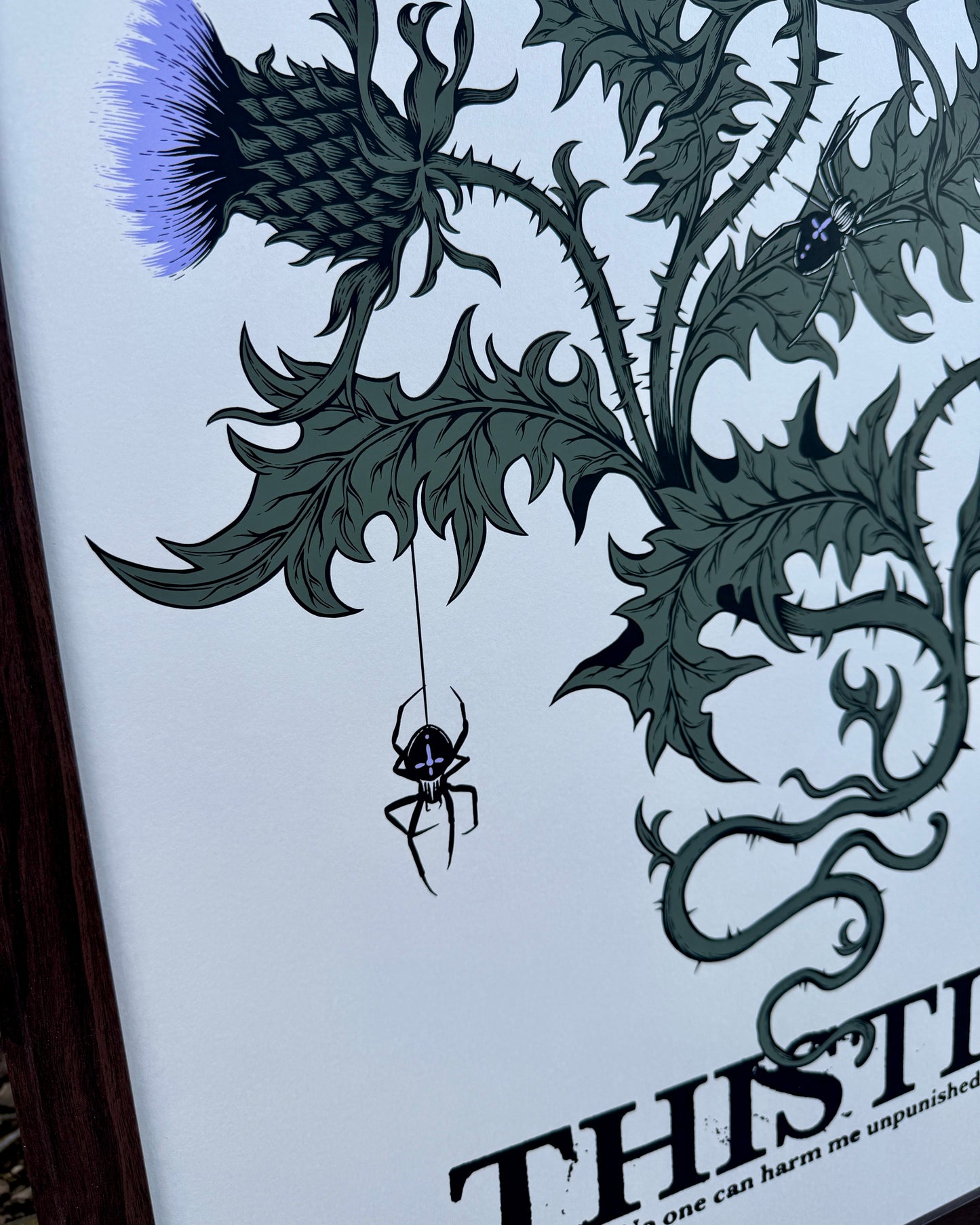 Thistle