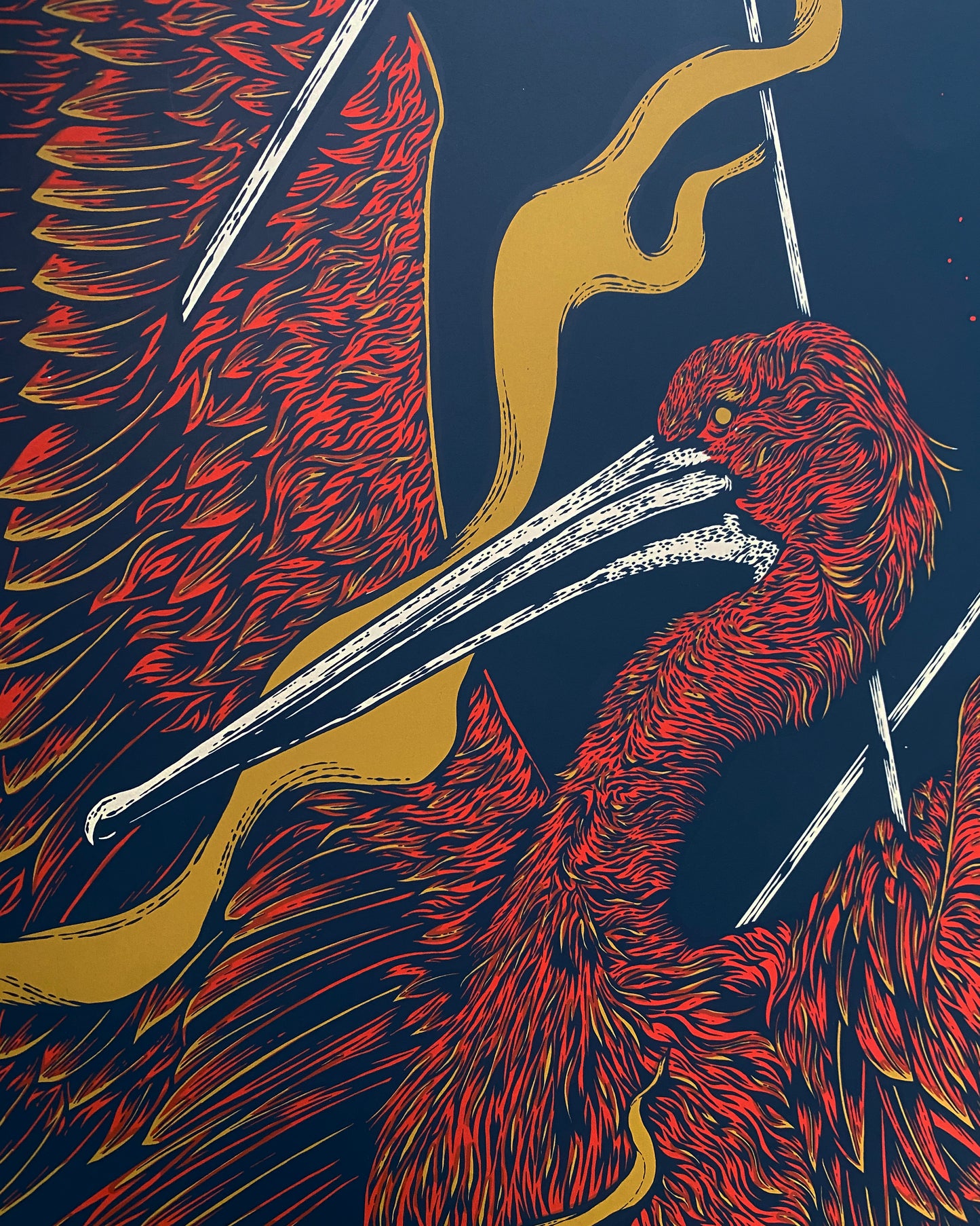 Pelican