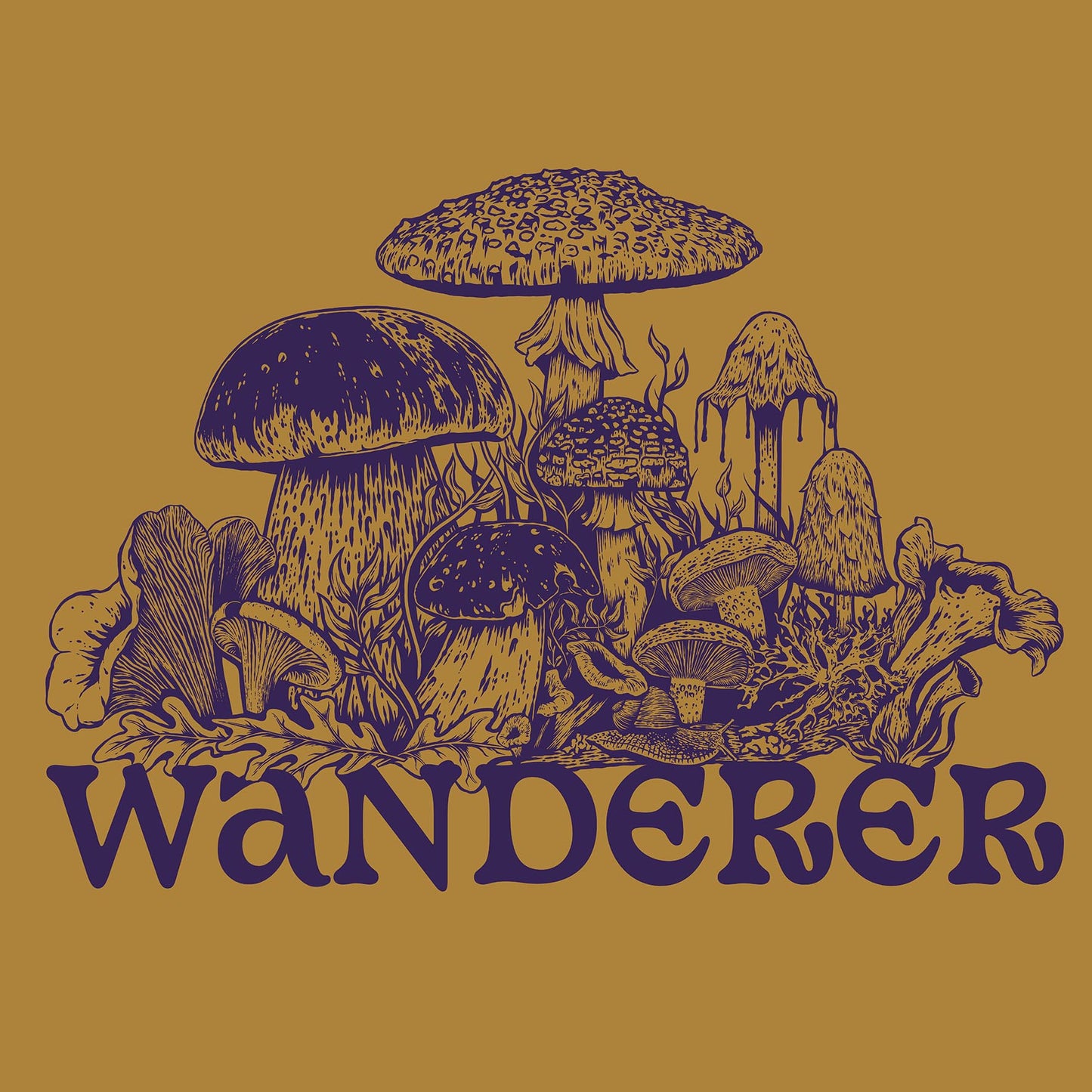 Wanderer