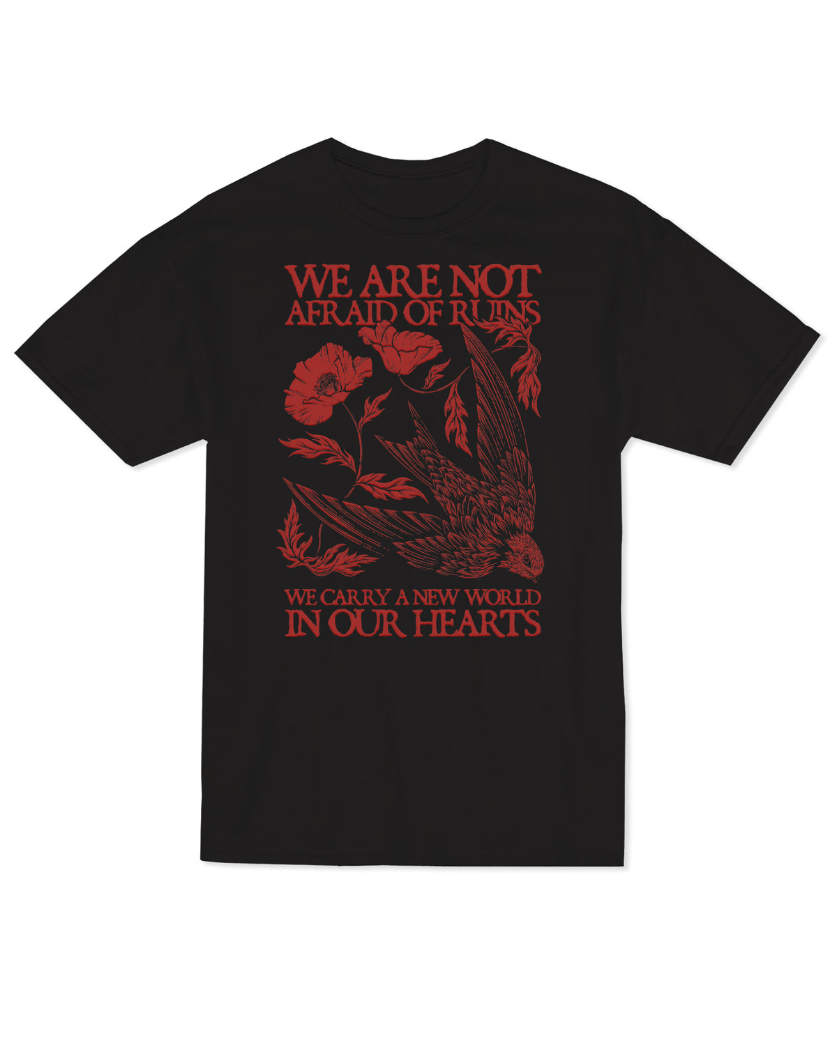We Are Not Afraid of Ruins